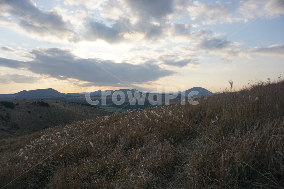 언덕,억새,구름,자연,오름,겨울,하늘,cloud,sky,weather,날씨,sunset,노을,outdoors,nature,가을,자연,풍경,nature,landscape