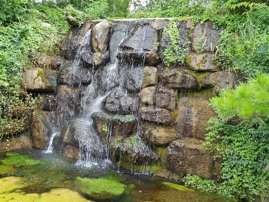 덕진공원,전주덕진공원,공원,이끼,폭포,자연,풍경,nature,landscape,water,물,outdoors,옥외,river,강,waterfall