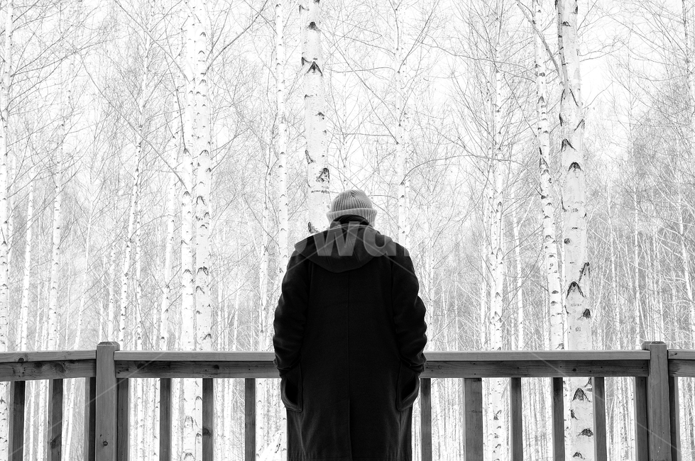 겨울,코트,남자,자작나무,자작나무숲,흑백사진,감성,감성사진,겨울,계절,winter,season,사람,인물,인간,human,person,남성,남자,man,male,흑백,모노톤,monochrome,black and white