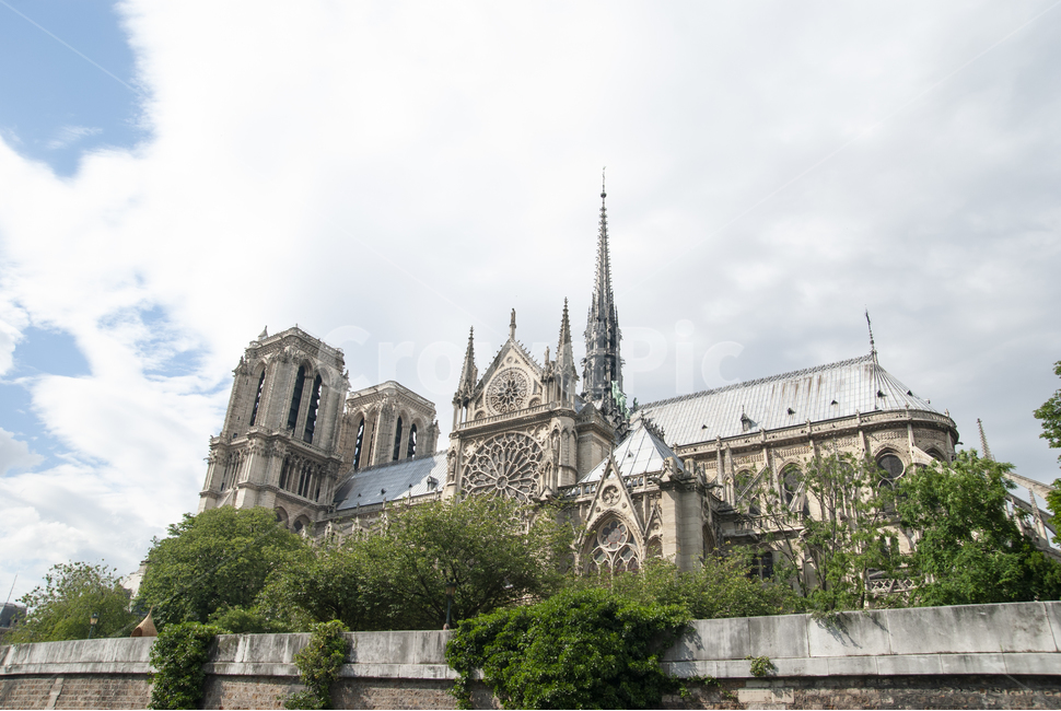 노트르담,노틀담,대성당,notre,notredame,paris,france,해외,외국,세계,foreign,oversea,world,건축물,건물외관,exterior,building,structure,architecture,construction
