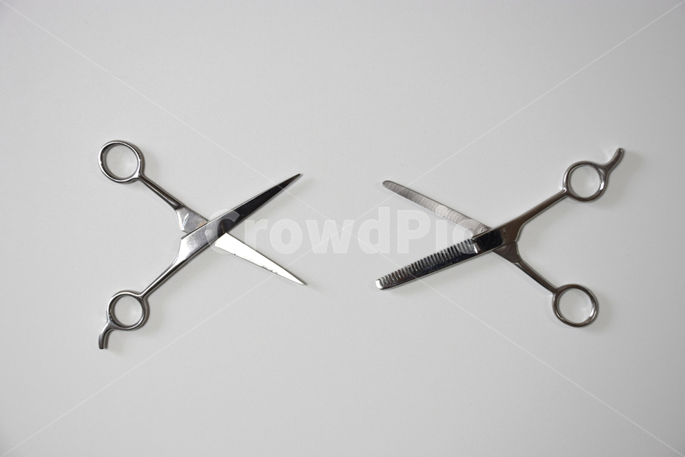 미용가위,가위,미용,머리,이발,머리숱,전문가,비즈니스,자르다,도구,뷰티,사물,물건,오브젝트,thing,object,matter