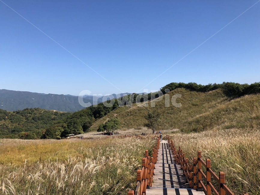 가을,억새,산,정상,가을하늘,억새축제,산정상,하늘,등산,등산로,길,자연,명성산,가을축제,억새바람길,등산코스