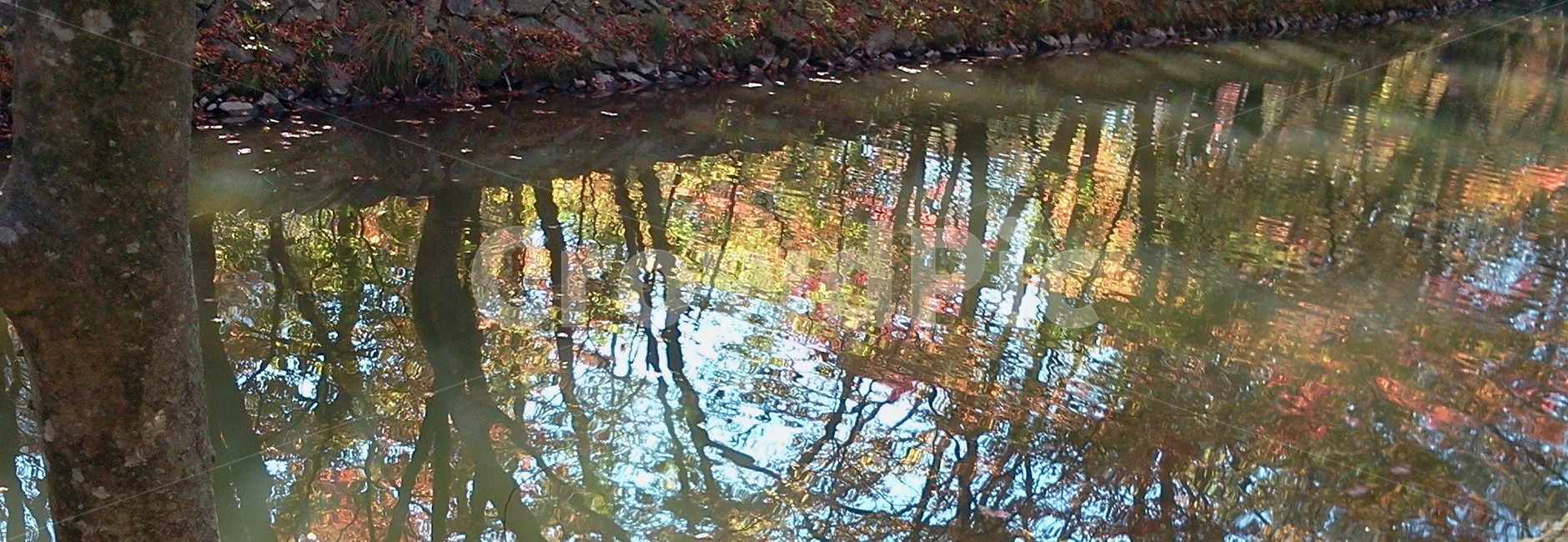 반영,단풍,계곡,선운사,물,자연,nature,outdoors