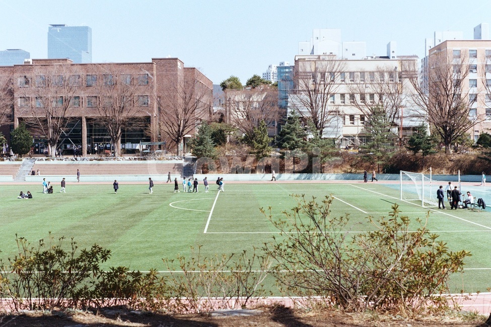 학교,운동장,나무,학생,잔디,도시,풍경,city,landscape,한국도시풍경,한국도시경관,korea cityscape,교육,학교,공부,education,learning,study,school,field,들