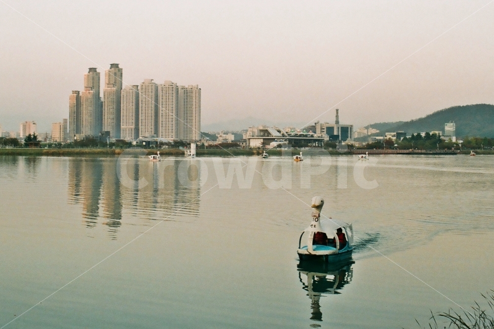 수성못,오리배,호수,감성,필름사진,도시,풍경,city,landscape,감성,sensible,feeling,스포츠,레저,운동,sports,leisure,exercise,vehicle,차량,watercraft,선박,transportation,교통,boat,보트