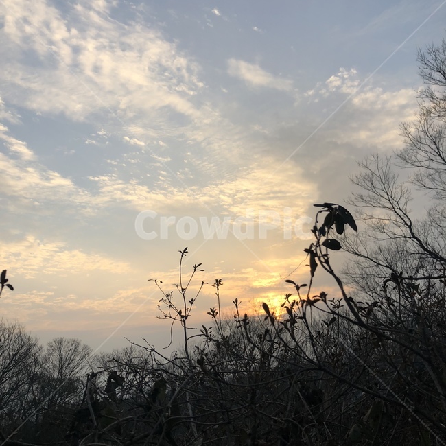 nature,자연,옥외,노을,sunset,실루엣,분위기,silhouette
