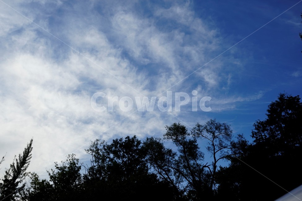 파란하늘,가을,구름,나무,실루엣,자연,outdoors,sky,하늘,가을하늘,자연,풍경,nature,landscape