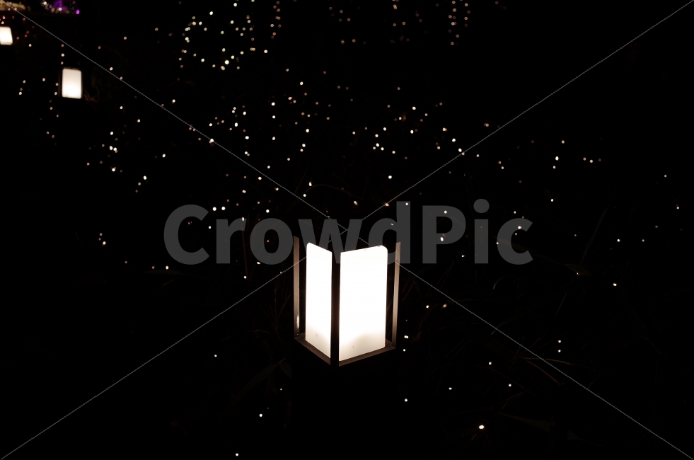 등,빛,어둠,별,가로등,야경,야경,밤,풍경,nightscape,night,landscape