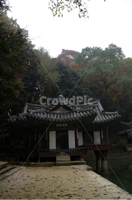 창덕궁후원,부용정,고궁,건축,전통건축,traditional,전통,단청,기와지붕,가을,fall,나무,식물,plant,단풍,가을,계절,fall,autumn,season,한국전통,한국문화,korean traditional,korean culture,랜드마크,landmark,tourist attraction,한국랜드마크,한국관광지,한국명소,korea landmark,korea tourist attraction,건축물,건물외관,exterior,building,structure,architecture,construction