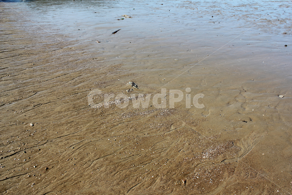 beach,brown,detail,earth,ground,mud,mudflat,nature,sand,soil,waterstreak,해안가,갈색,브라운,땅,흙,모래,모래사장,해변,자연,진흙,갯벌,모래밭,바닷가,자연,풍경,nature,landscape,해변,바다,beach,sea