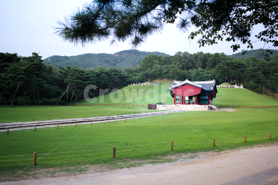 서삼릉,조선왕조,서오릉,왕릉,유교,한국전통,한국문화,korean traditional,korean culture,랜드마크,landmark,tourist attraction,한국랜드마크,한국관광지,한국명소,korea landmark,korea tourist attraction