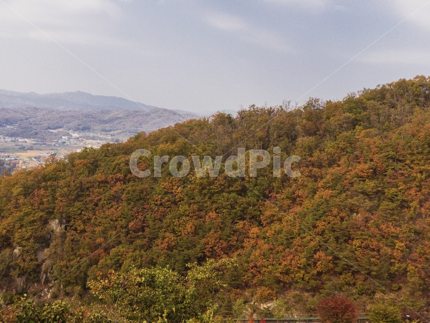 nature,자연,풍경,landscape,가을,단풍,산,outdoors,옥외,hill,언덕,가을,계절,fall,autumn,season,자연,풍경,nature,landscape