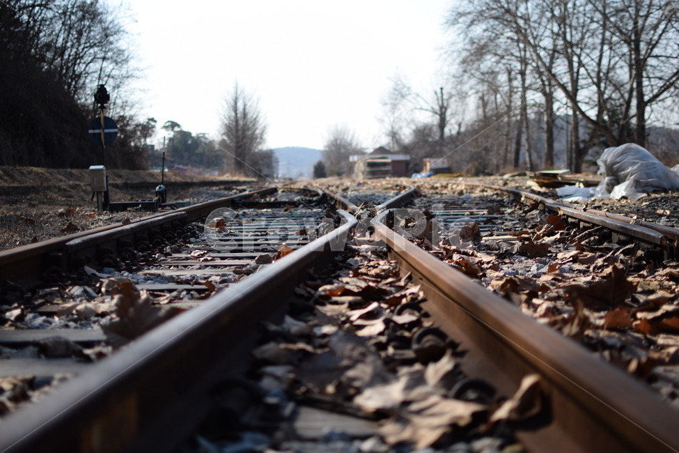 철길,녹슨철길,기차,폐역,풍경,낙엽,나무,외로움,한적함,railroad,train,closedstation,landscape,leaves,tree,alone,가을,계절,fall,autumn,season,교통,교통수단,traffic,transportation,rail,레일,train track,기찻길,railway,철도