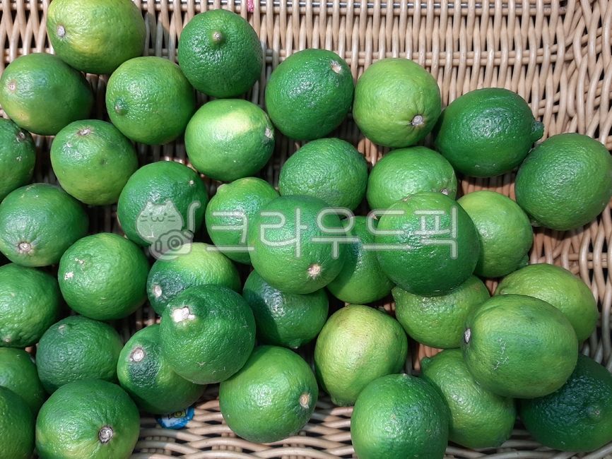 lime, 라임, citrusfruit, 감귤류과일, food, 사진,이미지,일러스트,캘리그라피 - wideart작가