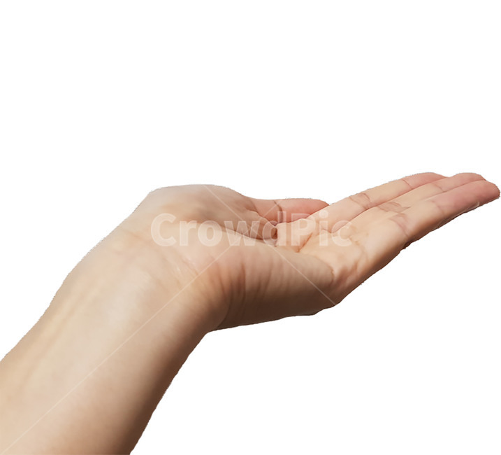 손모양,손동작,손가락,제스처,hand,handmotion,사람,인물,인간,human,person,신체일부,몸,body,손,제스처,표시,손짓,표현,gesture,hand,sign,expression,누끼,remove background