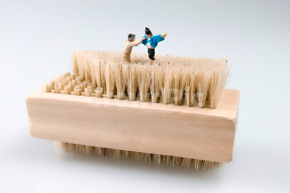 허수아비,가을,추수,농부,농사,가을걷이,harvest,autumn,구둣솔