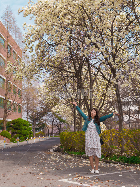 여자,벚꽃,flower,girl,woman,cheeryblossom,portrait,봄,계절,spring,season,사람,인물,인간,human,person,여성,여자,woman,female,lady