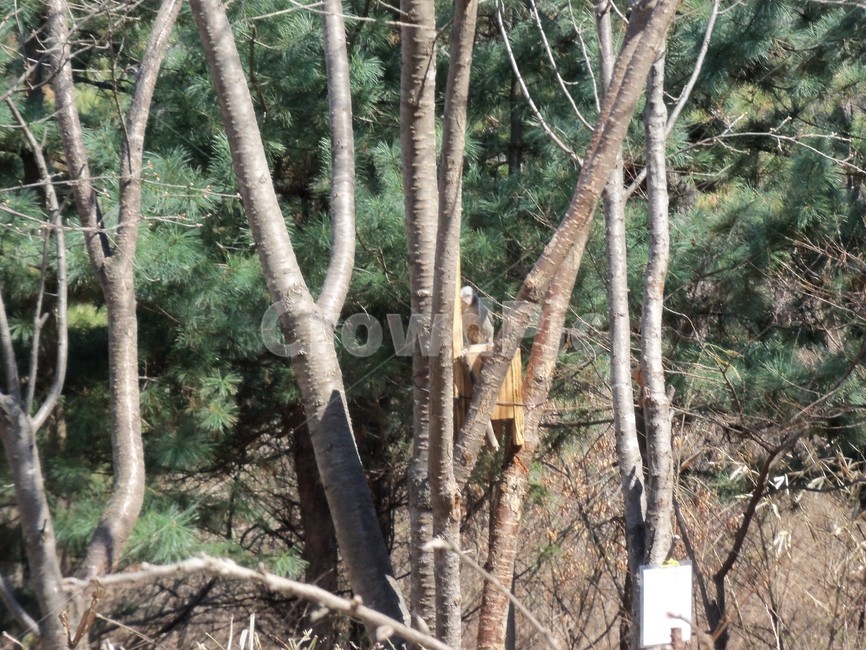 새먹이,먹이통,산새,산새먹이,새