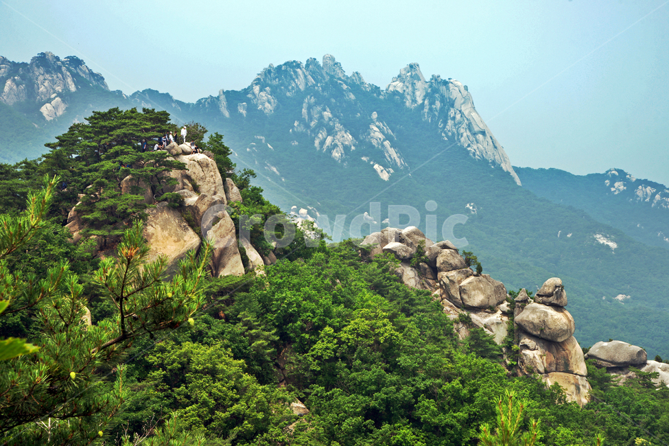 도봉산,산,등산,자연,신록,계절,기암괴석,자연,풍경,nature,landscape