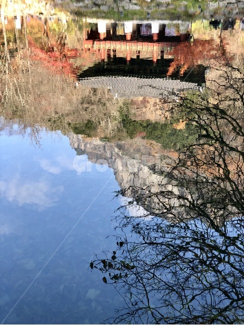단풍,하늘,절,물거울,가을,백양사,자연,풍경,nature,landscape,water,물,outdoors,옥외