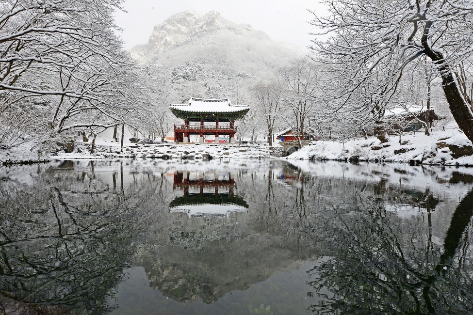 장성백양사,북하백양사,백양사,백양사설경,백양사연못,백암산,백암산반영,쌍계루반영,쌍계루설경,architecture,건축물,building,건물,겨울,계절,winter,season,자연,풍경,nature,landscape,한국자연풍경,한국자연경관,korea nature landscape