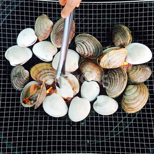 조개구이,조개,캠핑,엠티,바베큐,음식,식재료,요리,food,cook,meal,dishes,food reserves