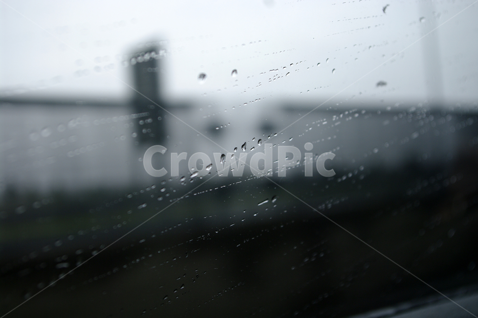비,창,물방울,빗방울,rain,비,비오는날,rain,rainy