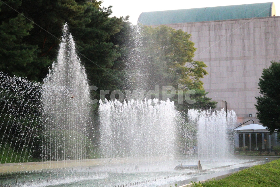 분수,분수대,물,공원,예술의전당,나무,소나무,자연,풍경,nature,landscape,water