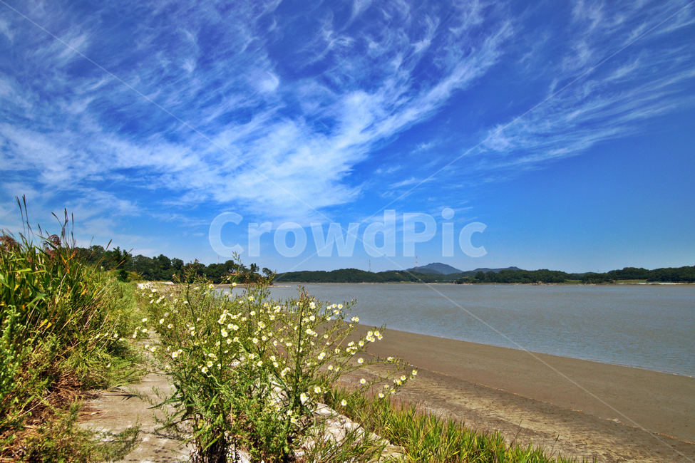 강화나들길,2코스,호국돈대길,염하,강화도,바다,푸른하늘,흰구름,야생화,water,물,nature,자연,outdoors,옥외