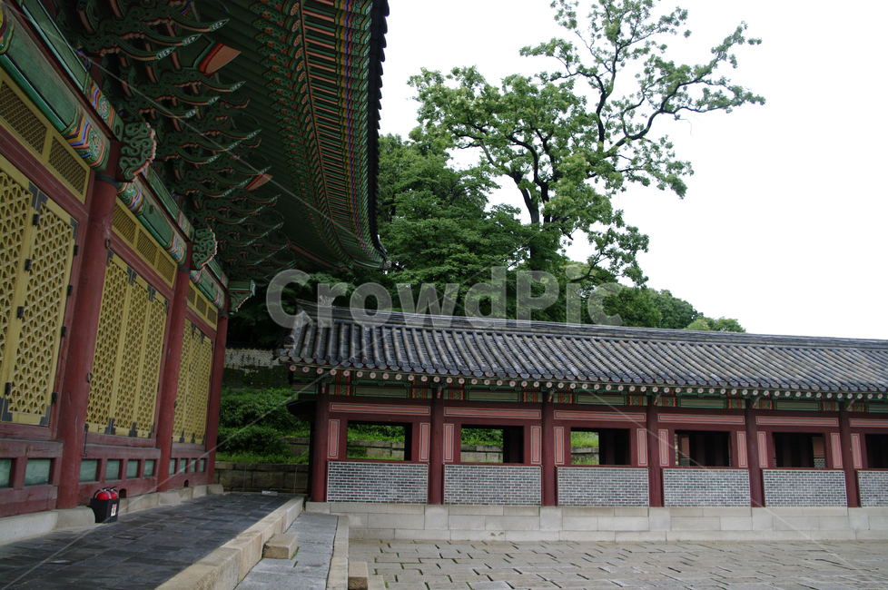 창덕궁,고궁,한옥,전통가옥,기와지붕,건축,traditional,한국전통,한국문화,korean traditional,korean culture,랜드마크,landmark,tourist attraction,한국랜드마크,한국관광지,한국명소,korea landmark,korea tourist attraction,건축물,건물외관,exterior,building,structure,architecture,construction