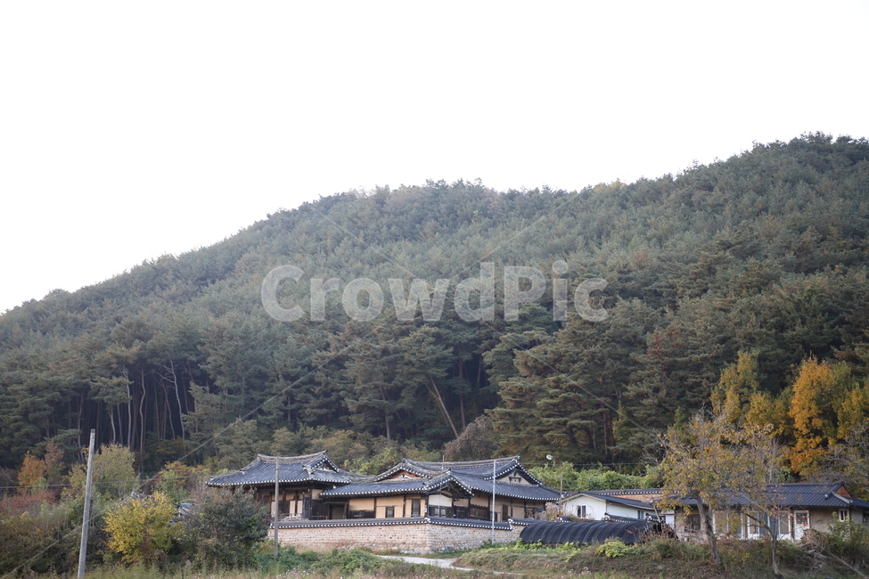 시골,가을하늘,가을,자연,노을,자연,풍경,nature,landscape,한국자연풍경,한국자연경관,korea nature landscape,시골,마을,country,rural,town,한국전통,한국문화,korean traditional,korean culture,outdoors,옥외,building,건물,shelter,피난처,농촌