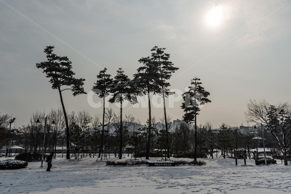 겨울풍경,눈길,백설,흰눈,눈밭,겨울,계절,winter,season,도시,풍경,city,landscape,한국도시풍경,한국도시경관,korea cityscape,tree,나무,plant,식물,nature,자연