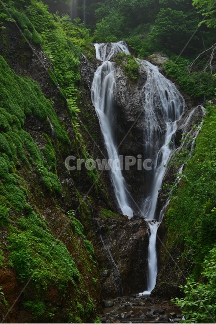 nature,자연,outdoors,옥외,water,물,waterfall,폭포,울릉도,봉래폭포,이끼계곡,경치,경관,비경,풍경