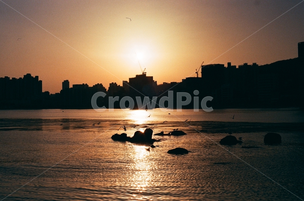 바다,강,노을,해질녘,sunset,dusk,ocean,river,필름,필름사진,film,filmphoto,자연,풍경,nature,landscape,실루엣,그림자,silhouette,shadow,sunlight,햇빛,light,빛,flare,플레어