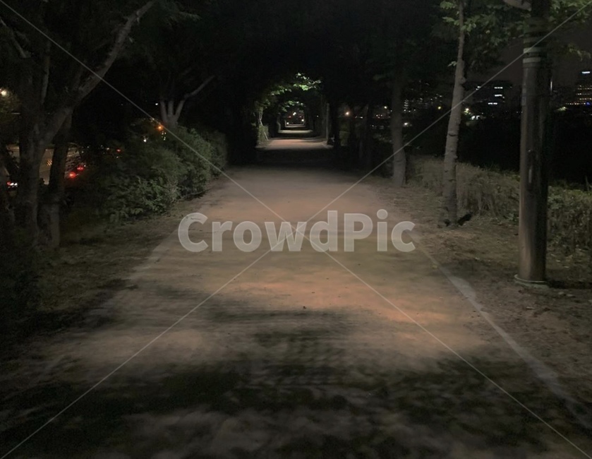 정원,야외,새벽,감성,야간,풍경,야경,밤,풍경,nightscape,night,landscape