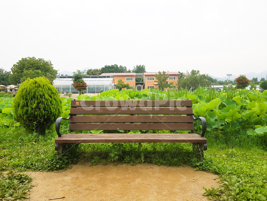 공원,park,bench,의자,나무,tree