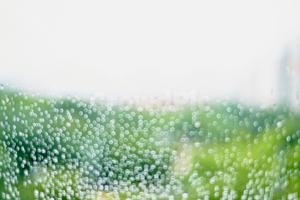 비,방울,보케,빗방울,rain,bokeh,drop,감성,sensible,feeling,비,비오는날,rain,rainy