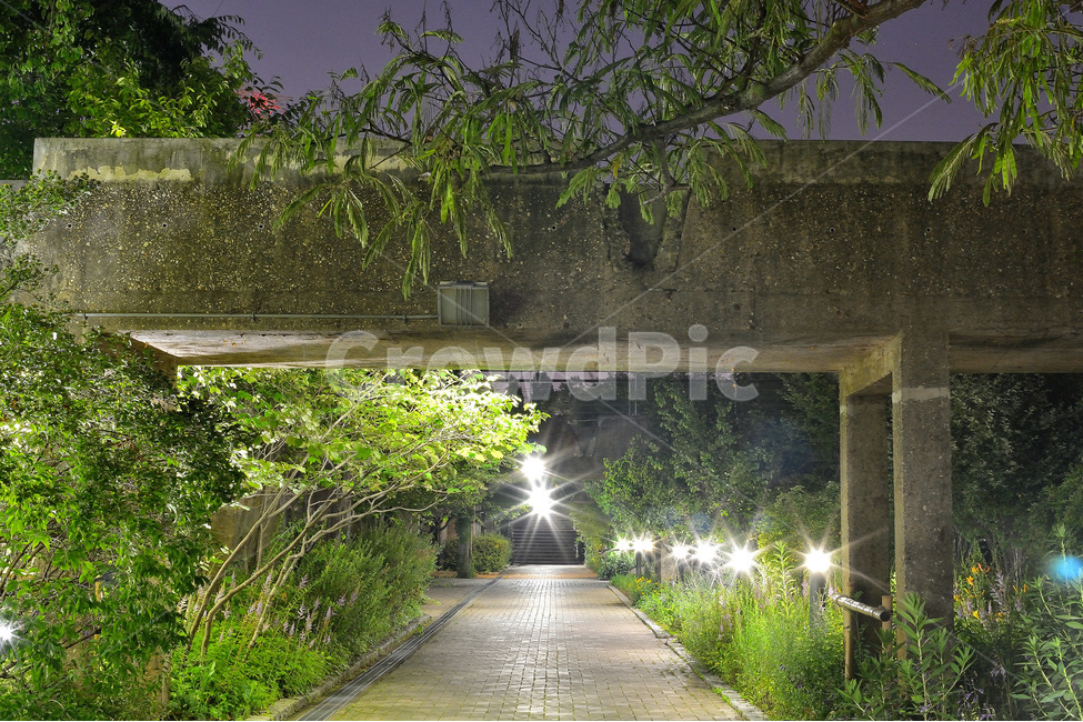 공원,야경,선유도,밤풍경,식물,자연,자연,풍경,nature,landscape,야경,밤,nightscape,night,outdoors,옥외,garden,정원,arbour,정자