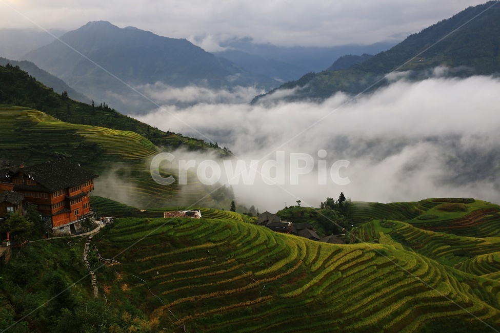 nature,자연,outdoors,옥외,countryside,field,들,hill,언덕,중국,계림,용척,용척다랭이논,다랭이논,다락논,농업,농경지,경작,농사,중국비경,경치,경관,풍경,운해,용척제전아침