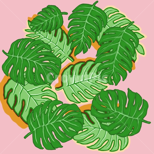 plant,식물,leaf,잎,초록,green,자연