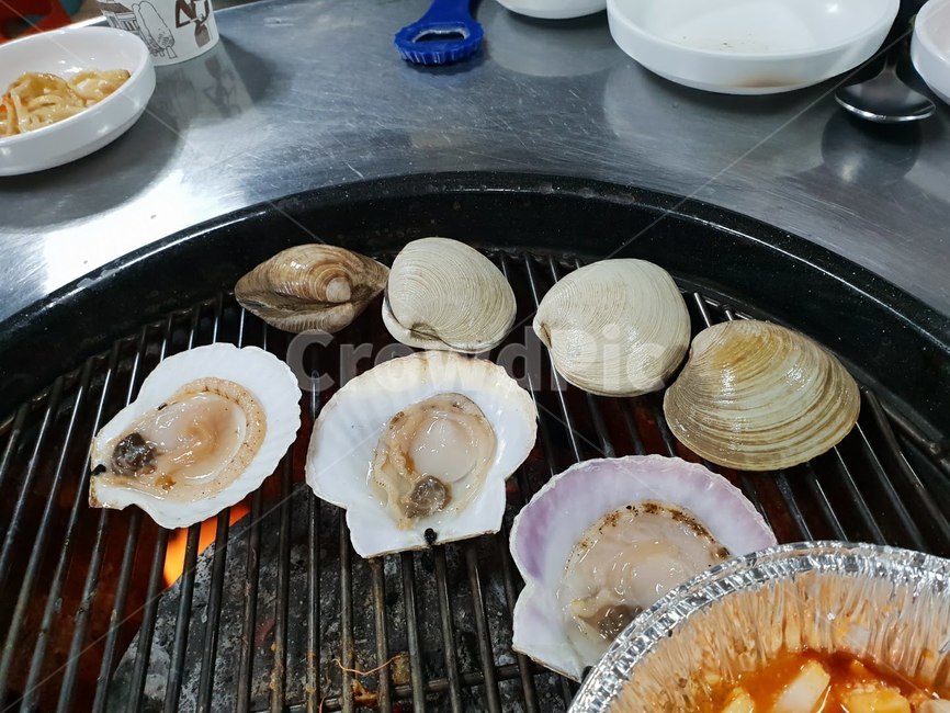 조개구이,조개,음식,구이,해물,외식