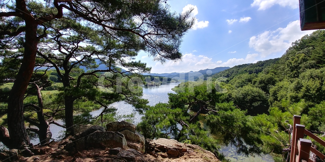 소나무,솔숲,솔밭,절경,명소,조선소나무,적송,자연풍경,자연,자연,풍경,nature,landscape,tree,나무,plant,식물,vegetation,초목,outdoors,옥외,wilderness,황야