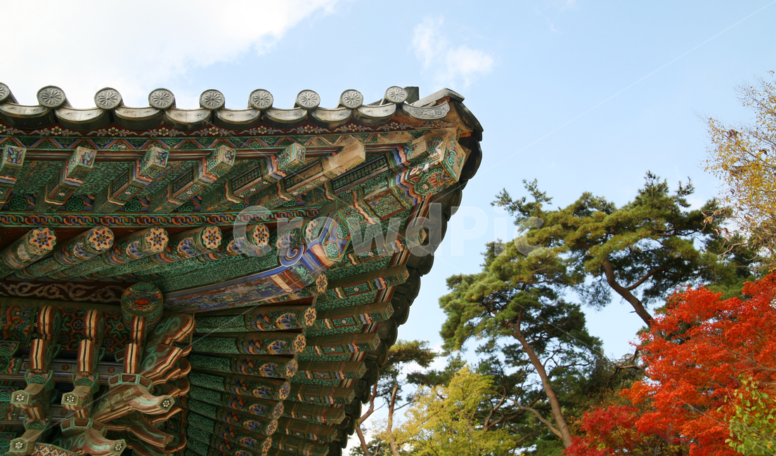 기와집,단풍,구름,맑은,나무,식물,전통,절,가을,계절,fall,autumn,season,한국전통,한국문화,korean traditional,korean culture,건축물,건물외관,exterior,building,structure,architecture,construction