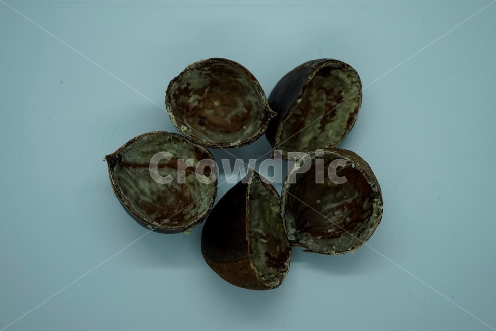 밤,밤껍질,삶은밤,음식,food,너트,nut,밤껍데기,까먹고남은밤껍질