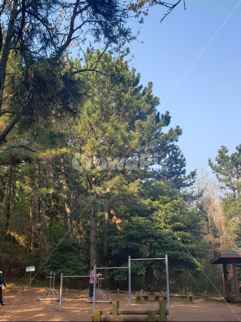 쉼터,한라수목원,흙길,산책로,철봉,많은나무,봄
