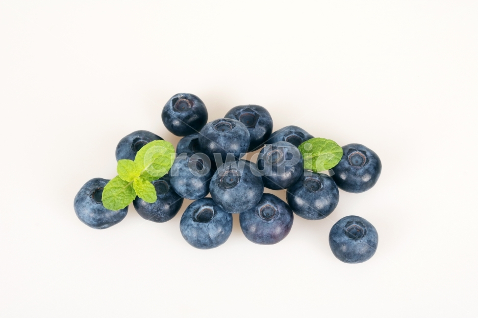 Fruit,fruit,Berry,concept,food,fresh fruit,dessert,Daul,blackberry,wellbeing,plant,diet,Blueberries