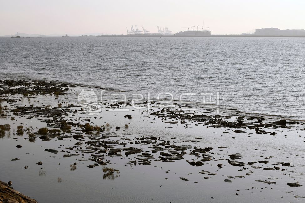 Incheon New Port,Oido,Oido Beach,Siheung Oido,sea,coast,coastal area