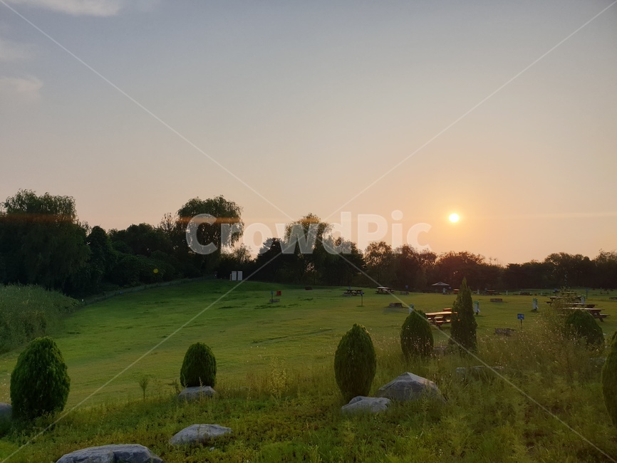 자연,목초지,옥외,들,field