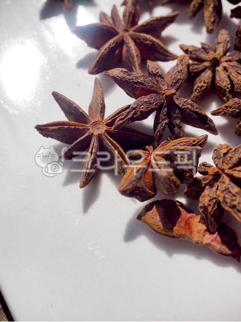 스타아니스홀,향신료,팔각,팔각향,별모양,아니스,인도음식,향기,음식,유기농,요리,요리재료,갈색,중국음식,아시아음식,건조식품,식물,향료,staranisehall,spice,octagon,octagonal,starshape,anise,indianfood,scent,food,organic,cooking,cookingingredients,brown,chinesefood,asianfood,dryfood,plant,spices