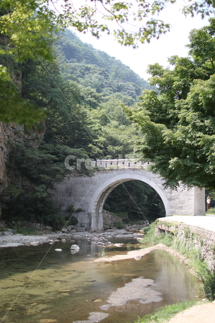 한국전통,한국문화재,문경,문경새재,수문,자연풍경,숲속,traditionalkorean,koreanculturalassets,mungyeong,mungyeongsaejae,naturalscenery,forest